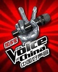 中国好声音第二季全集在线观看,梦想舞台,激情燃烧的视听盛宴 第1张 中国好声音第二季全集在线观看,梦想舞台,激情燃烧的视听盛宴 第1张